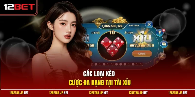 Các loại kèo cược đa dạng tại tài xỉu