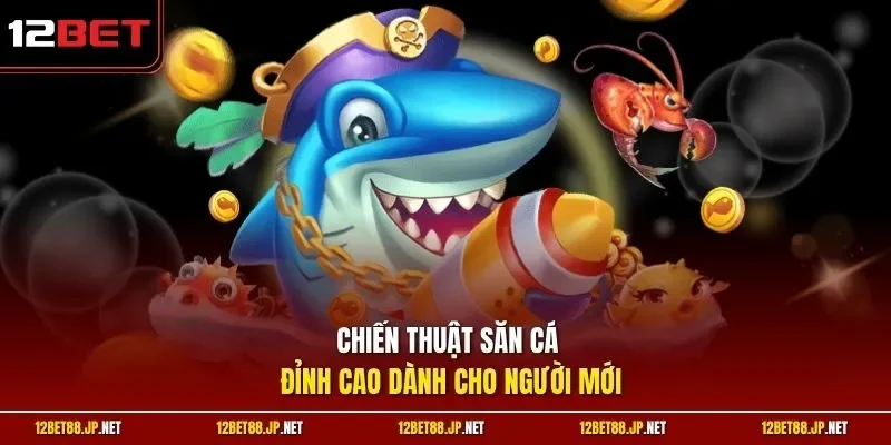 Chiến thuật săn cá đỉnh cao dành cho người mới