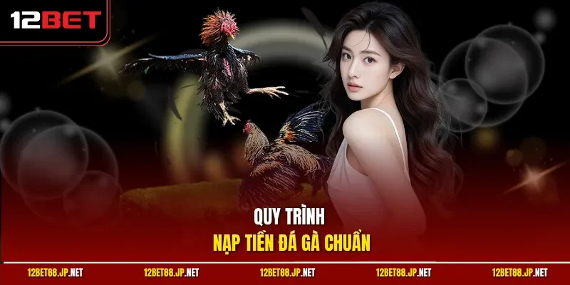 Quy trình nạp tiền đá gà chuẩn